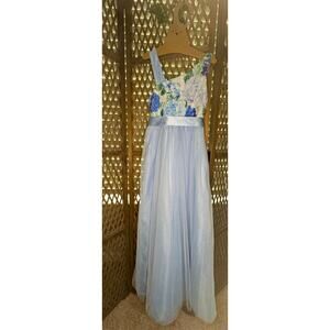 Poppies and Roses Blue Floral Maxi Dress sz 8